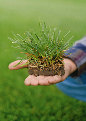 Start your own business - Klik for at tilmelde dig